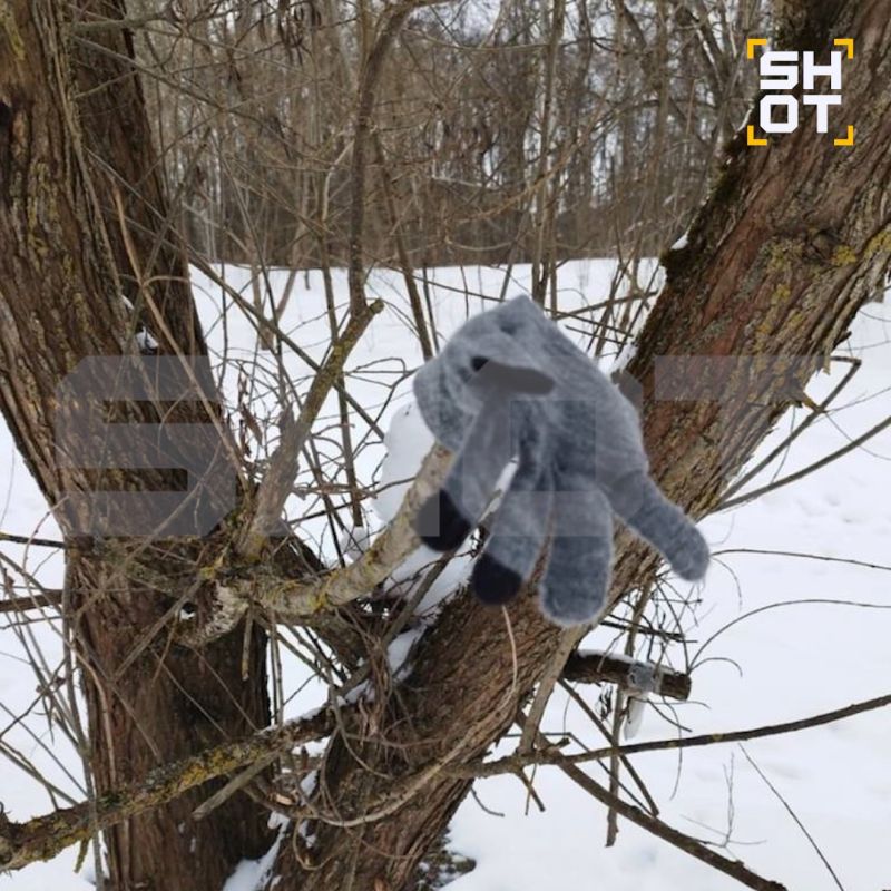 ������� �������� ������� ����� ����� ����������� � ���������, ��� ���� 9-������ ���� ���������