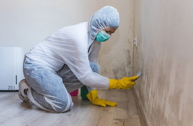 ����������� ������ ������ � �������� �� ������: ������ ��� �������� � ����