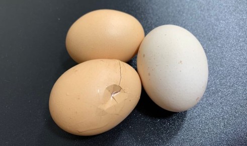 Как сварить треснувшие яйца: уникальные методы, которые вам точно понравятся