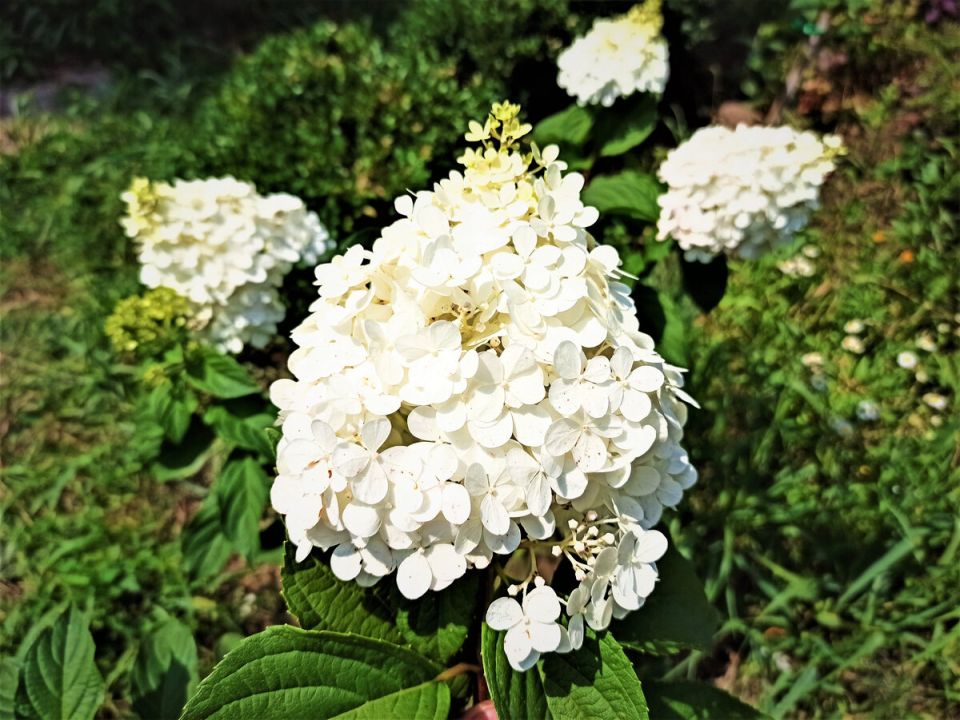 ��� ��������� �������� ����������� ��������� ��� ������� ��������