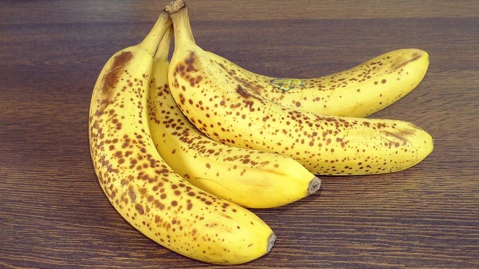 ��� ����������� ��������� �����: ������� ������, ������� ������� ����