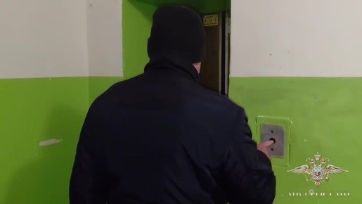 Появились кадры задержания подозреваемого в похищении 9-летней девочки в Смоленске