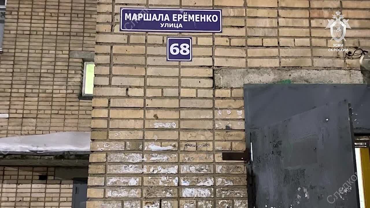 Похитителю девочки в Смоленской области и его сожительнице предъявлены обвинения, сообщили в Следкоме