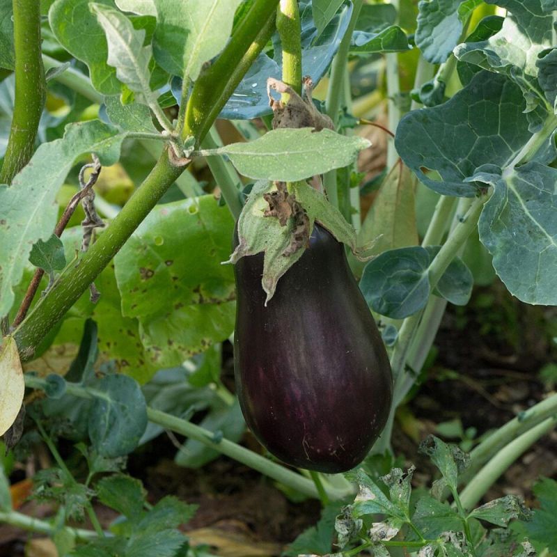 ������� ��� ����������: ��� �������� ������������ ������