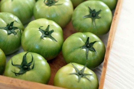 Зелёные помидоры: удивительные рецепты и кулинарные возможности