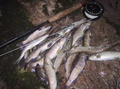 ������������ ���� � �������� �������