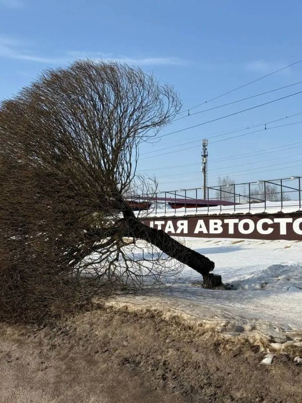 Александр Новиков: Столкнулись с очередным актом вопиющего вандализма