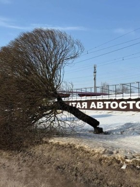 Александр Новиков: Столкнулись с очередным актом вопиющего вандализма