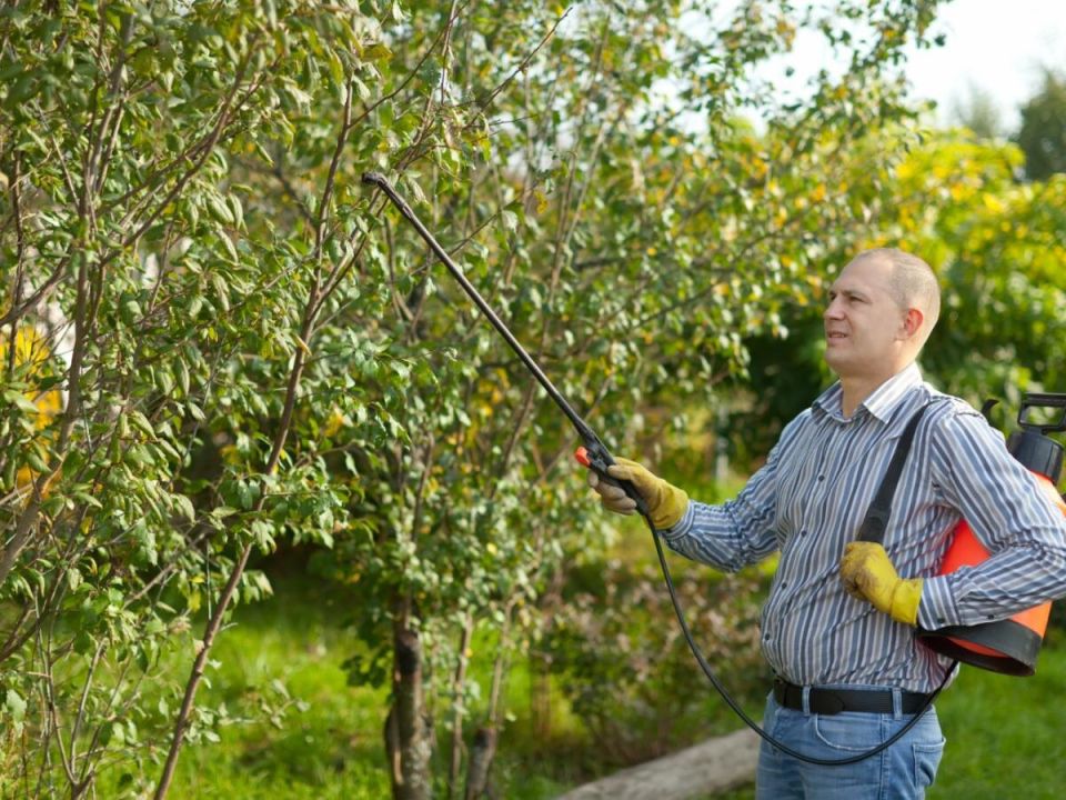 ������� ��������� �� ����������� ������ � ����