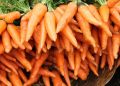 Как сохранить морковь до нового сезона: простые и эффективные способы
