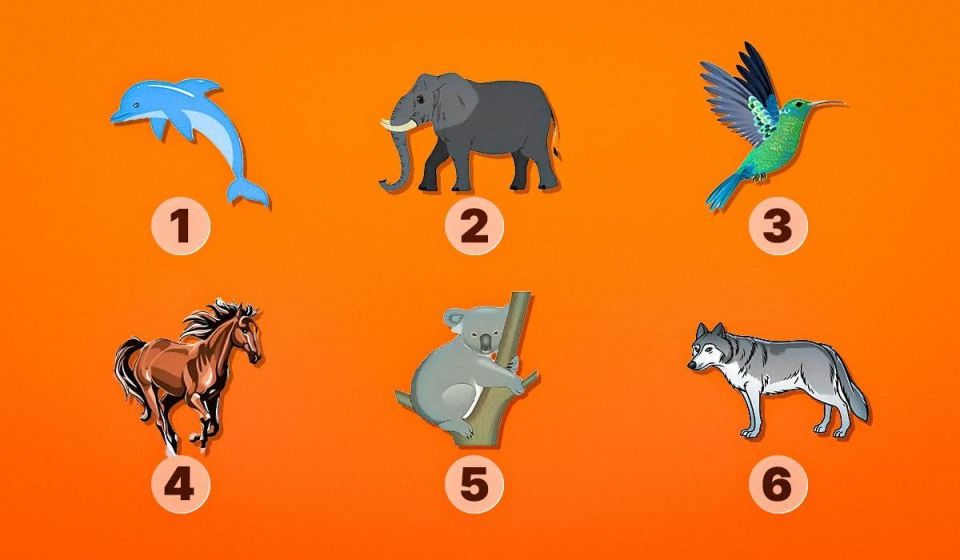 ����� �������� �������� ������ ��� �� ��������: ���������� ���� �� ��������