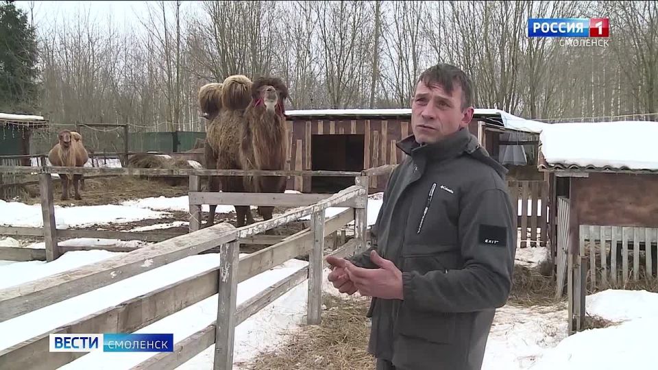 Ласковые и умеющие быть благодарными