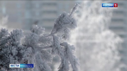 ������������ �������, ������������� ��� ������������� ������� ������, �������� �� ���������� ������ ���������