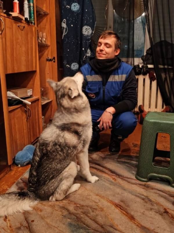 ������ ������ �� ���������� �������������