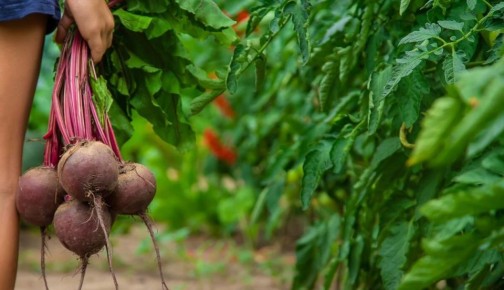 ��� ��������� �������� ������ ��� ������� ������