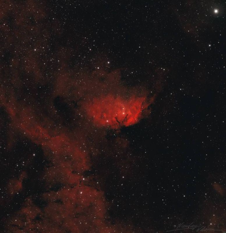 Роскосмос опубликовал кадры «космического букета» к 8 Марта