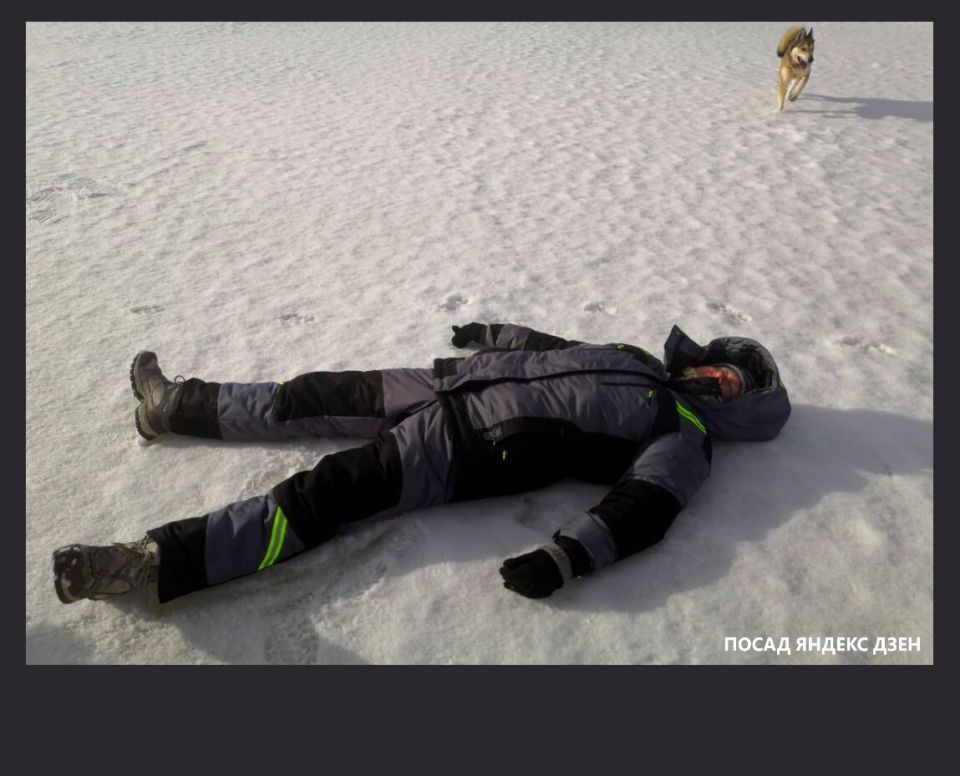 Как весна на даче меняет привычный ритм жизни