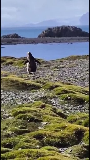 Ը��� ������� �������� ���������� �� �������������� ������� ���������