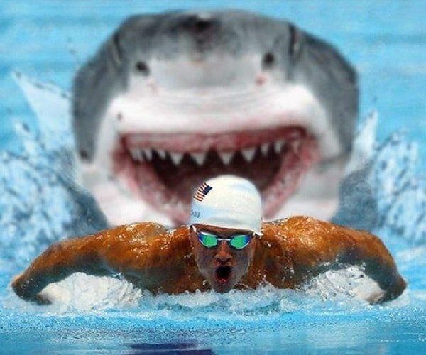 ������ ��������� �� �������� ���� � ���� �����������