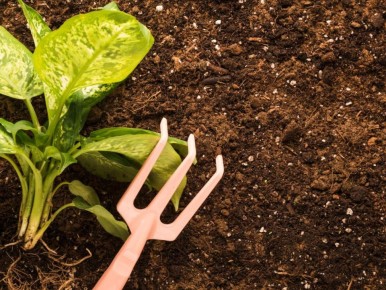 ��� ������� ������� �������: ������� ������ ��� ���������� �������