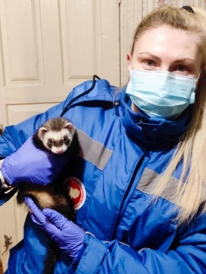 ������ ������ �� ���������� �������������