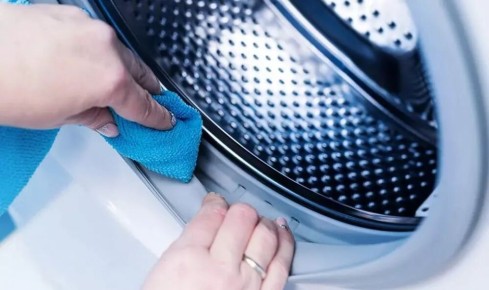 Как эффективно избавиться от плесени в стиральной машине