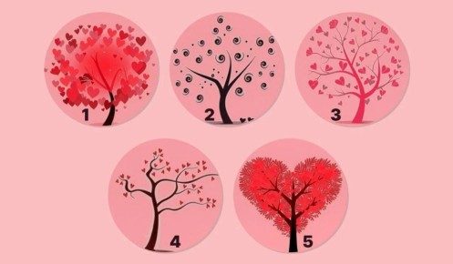 Что говорит о вас выбор дерева в психологическом тесте?