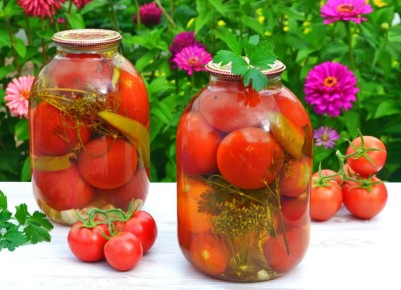 ��������� ��������� � ��������: ��������� ������ �� ������ ����