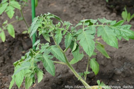 ��� ��������� ���������� ������ ��� ��������� ����� � ������������