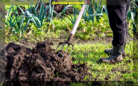 ������������ ����������: ��� ����������� ���� � ���� ��� �����