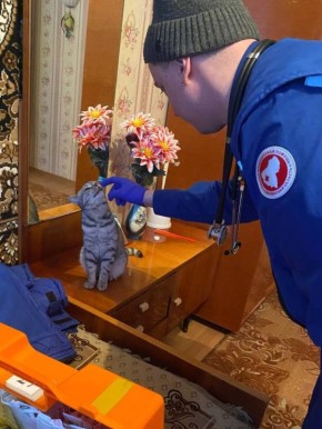 ������ ������ �� ���������� �������������