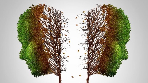 ��������� � ���������: ��� ��� ��������� ���� �������� �����