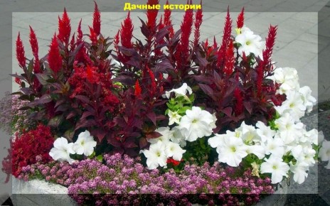 ��� ��������� �������� ������� � ������� ������� ��� ������������ ��������