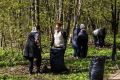 В Смоленске стартует весенний экологический месячник