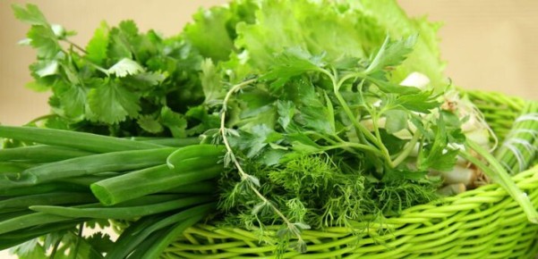 ����� �������� ���� ������: �������� ������