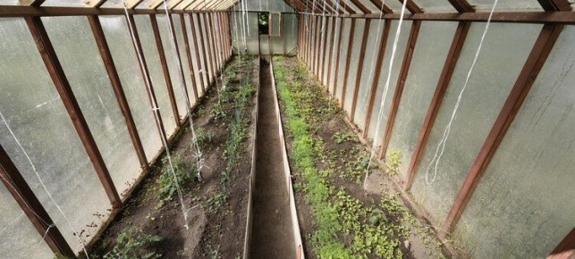 ��� ���������� ������������ ������� ������ � �������