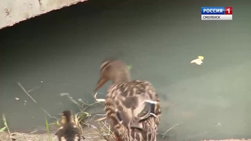 1 ������ ���������� ������������� ���� ����