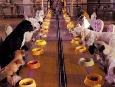 ��������� ��� ��������: ��� ������� �������� �������� ������