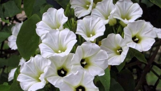 ������ �� ���������� ��������: ����� ������� � ����� 2026 ����