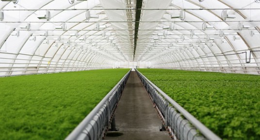 ���������� ������� � ������ ������: �������� ������� ���������