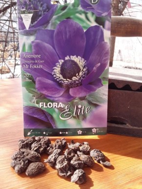 ����� ��������� �����������: ������� �� "������ ������"