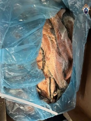 Иностранец осуждён за попытку провезти контрабандную рыбу через Смоленскую область