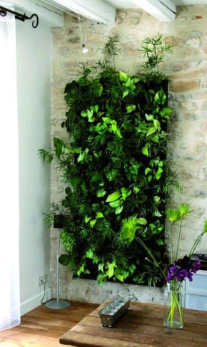 �������� ������������� ����: ��� �� ����� � ������ ���������