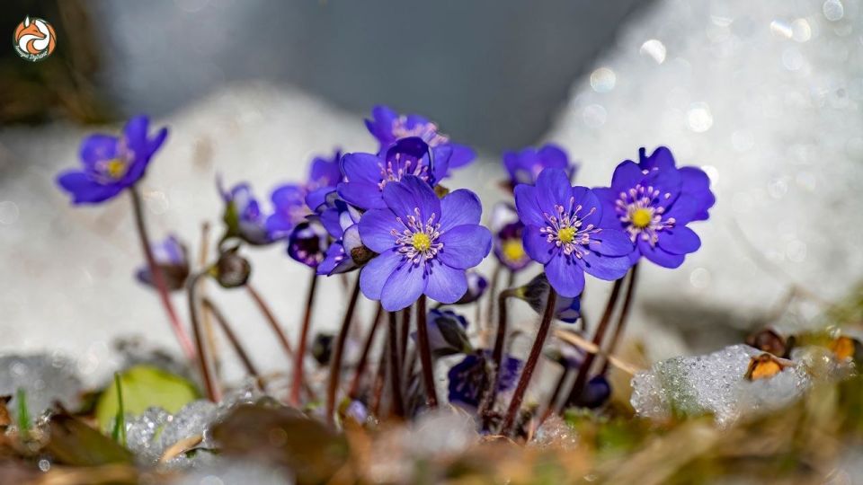 � ������� ����� ������, ������!