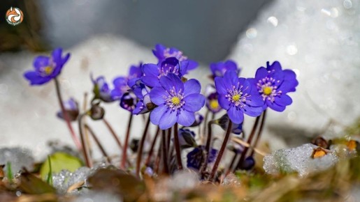 � ������� ����� ������, ������!