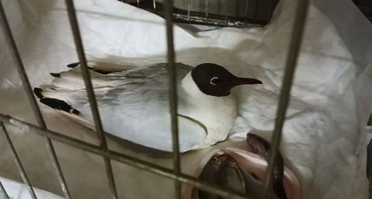 ���������� �������� ������� �� ����� ������� �����