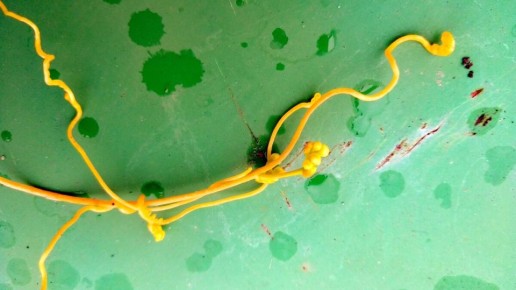 �������� ����� � �������: ��������