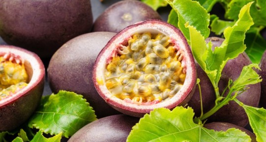 �������� � ��������: ����� ������ � ������� ��������