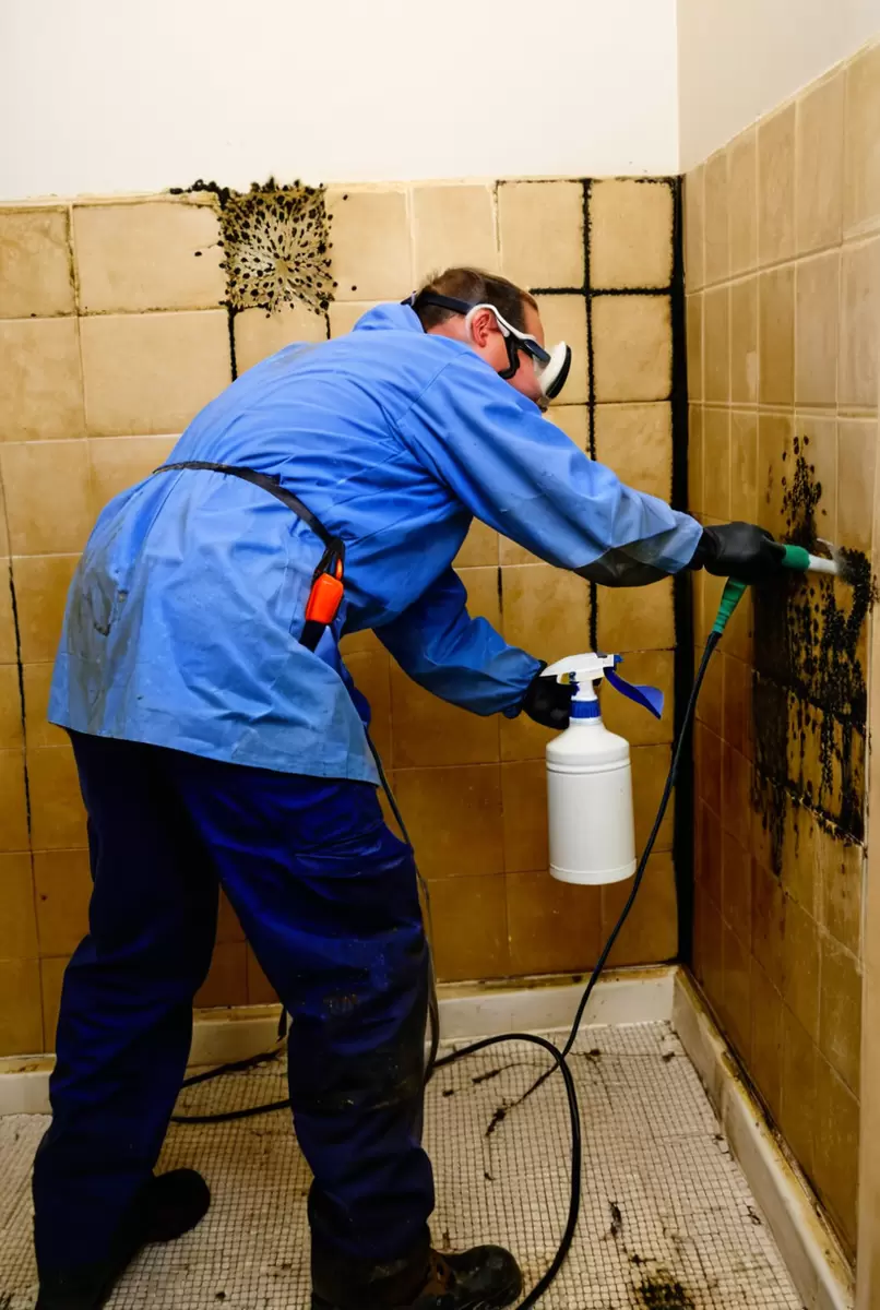 Все, что нужно знать о борьбе с грибком: советы и рекомендации