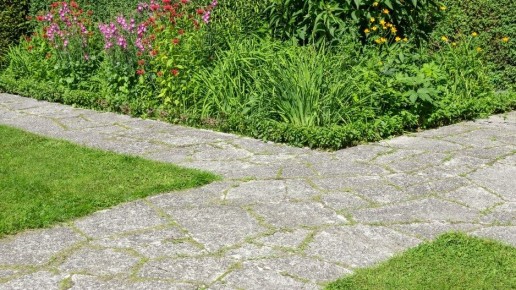 Цветущие дорожки: преображение вашего участка